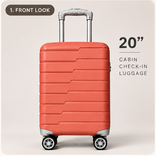 Check In Luggage