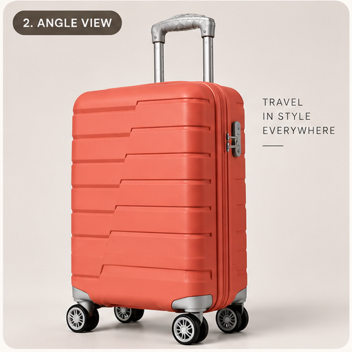 Check In Luggage